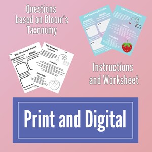 DNA Extraction Strawberry Lab | Easy Prep | Worksheets | Science ...