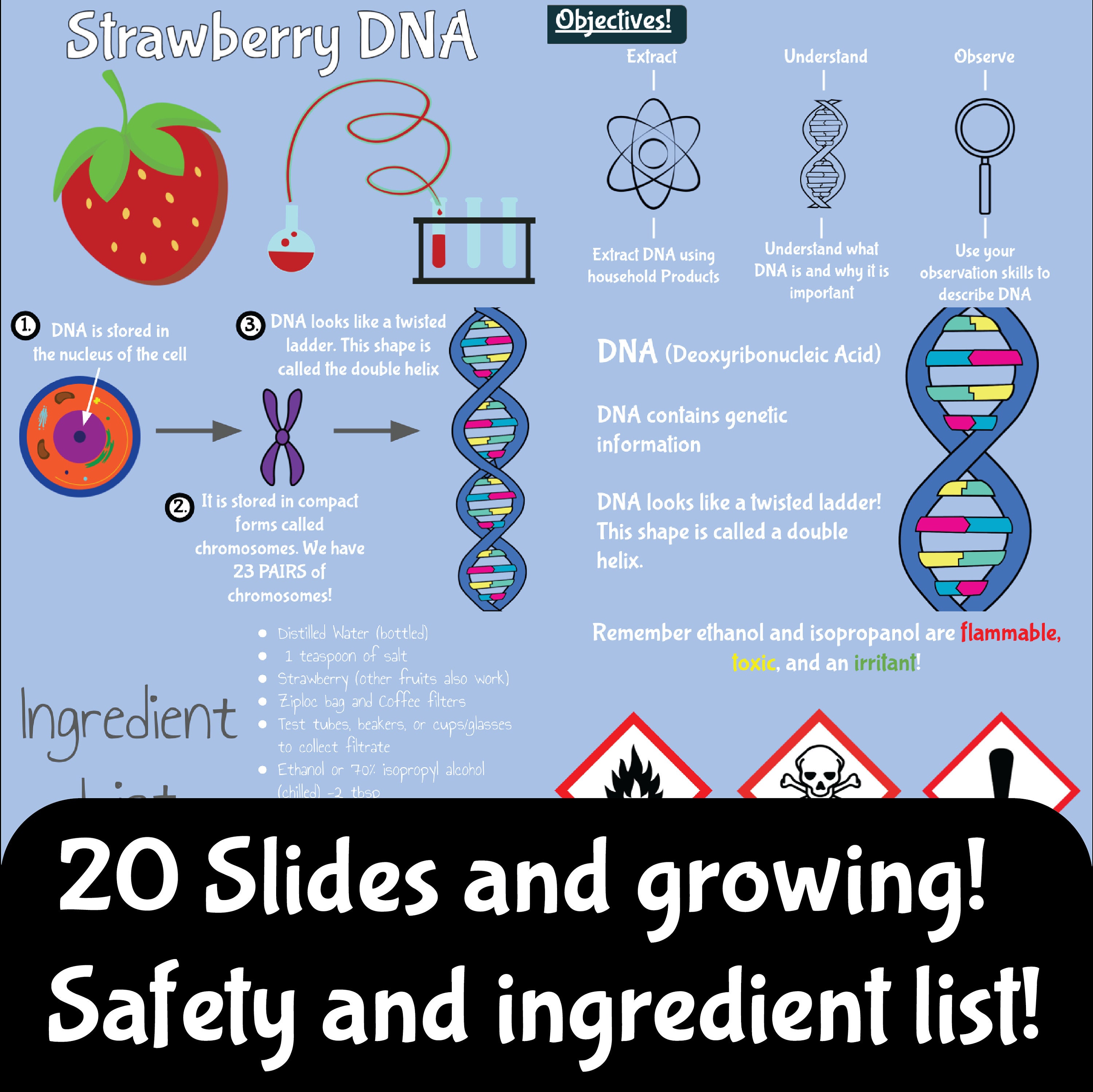 DNA Extraction Strawberry Lab Easy Prep Worksheets Science Homeschool