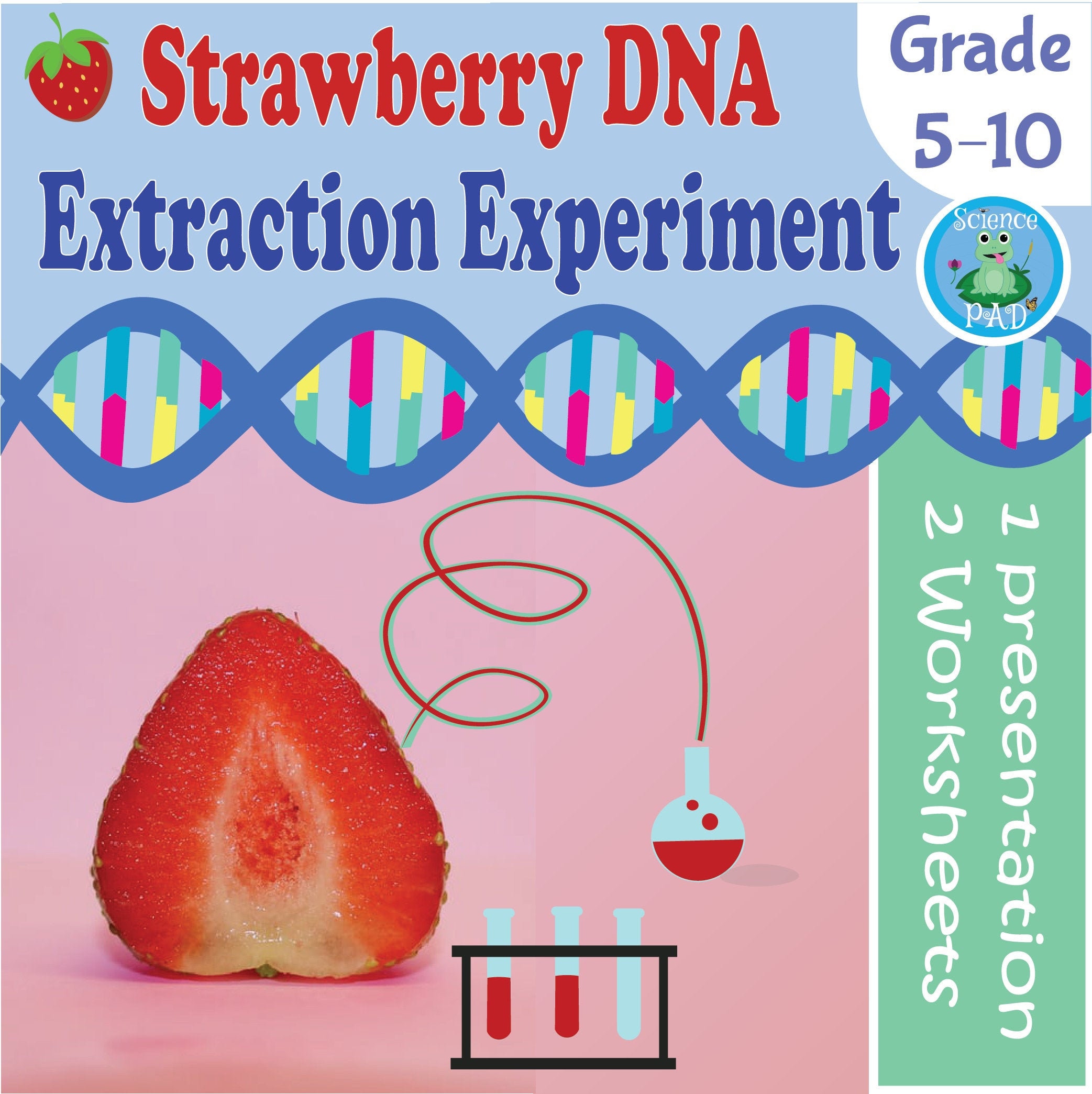 Dna Extraction Strawberry Lab Easy Prep Worksheets Etsy