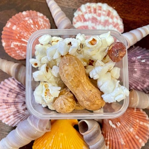 Circus Hermit | Hermit Crab Food