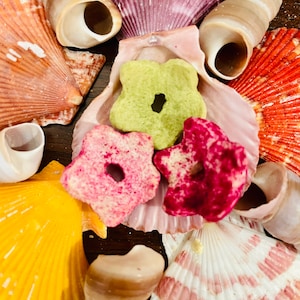 Magic Dragon Puffs | Hermit Crab Food Meal Treat Snack Nutrition DragonFruit Fruits Fats Foraging Chia Seed