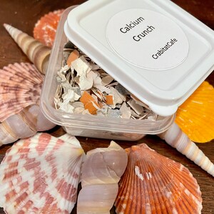 Picture of Calcium Crunch | Hermit Crab Food / Supplement Essential for ...