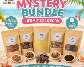 Mystery Surprise 5pc Bundle | Hermit Crab Food Treat Snack Meal Gift