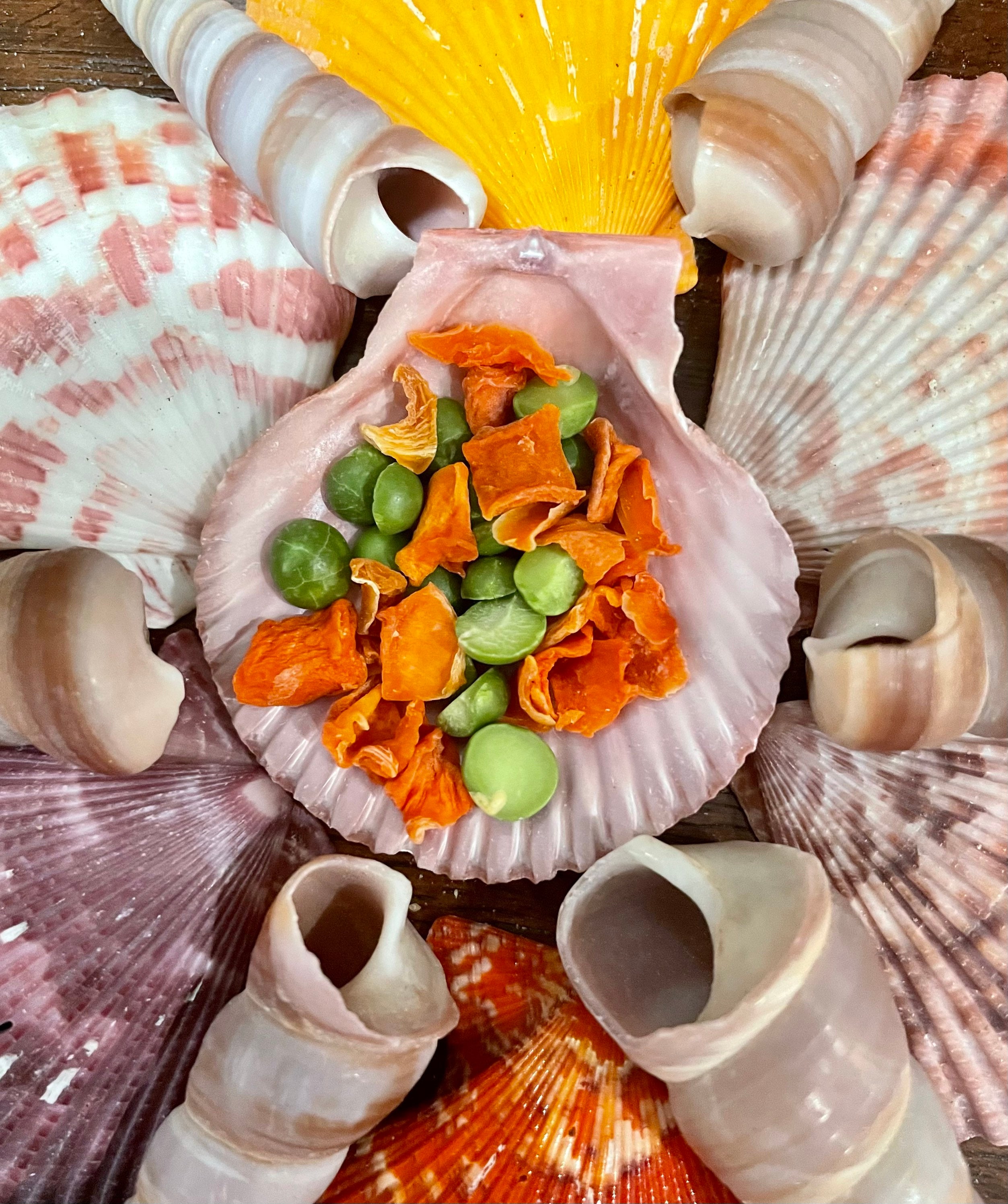 Dried Peas & Carrots For Hermit Crabs - Nutritious Veggie Treat, High in Fiber & Vitamins | Natural Crab Food, Healthy Snack