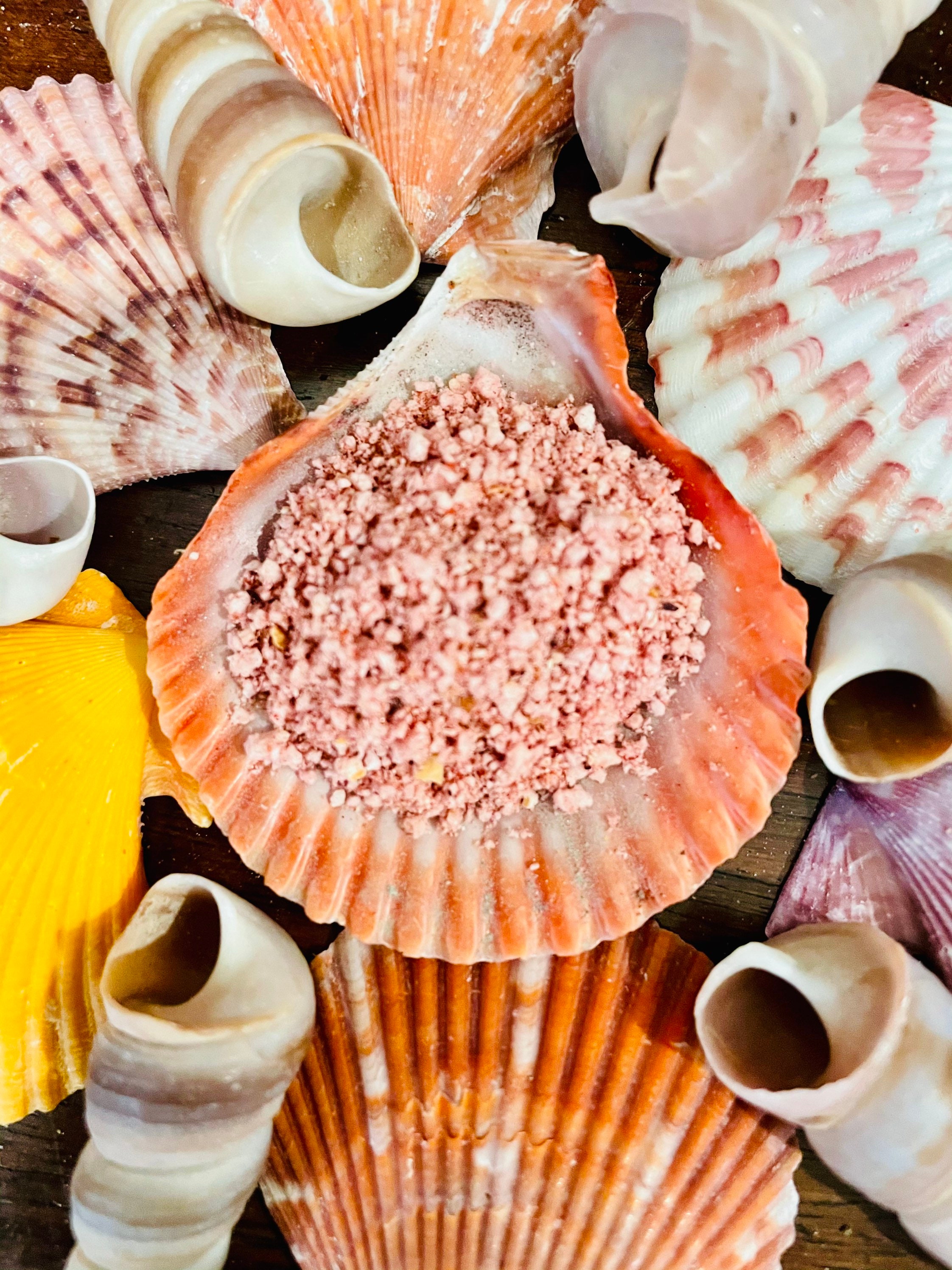 Pinchy's Pink Color Pop | Complete Meal | Hermit Crab Food/Color-Enhancing, Nutrient-Rich Blend With Organic Popcorn & Hibiscus
