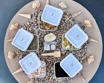Essential Hermit Crab Food Starter Kit | 5-Piece Basic Staple Nutrition Pack