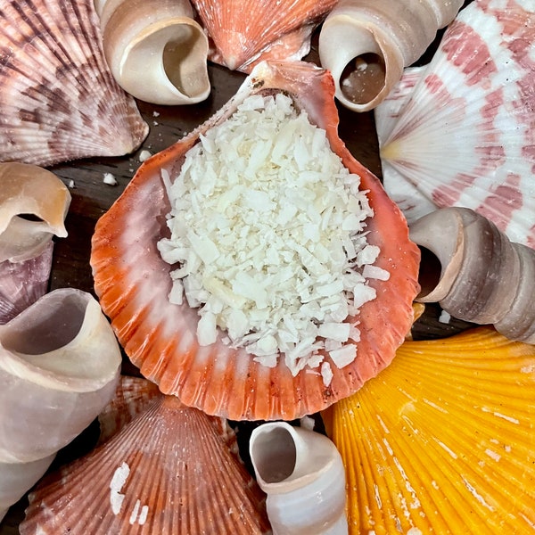 Shredded and/or Flaked Coconut | Hermit Crab Food