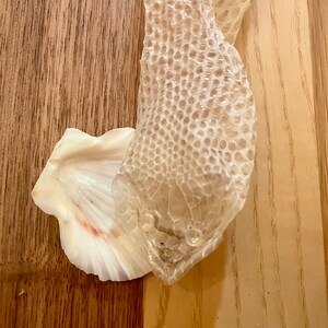 Snake Skin Shed | Natural Hermit Crab Food Treat Foraging Protein Enrichment Snakeskin bild 9