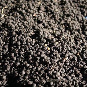 Organic Worm Castings | Hermit Crab Food afbeelding 2