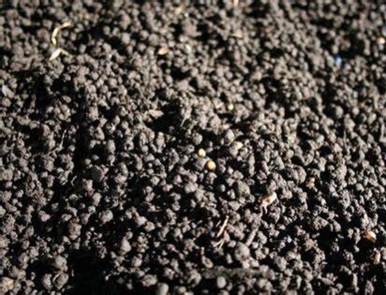 Organic Worm Castings | Hermit Crab Food afbeelding 2