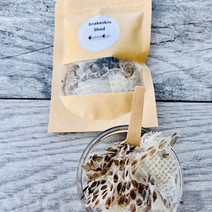 Snake Skin Shed | Natural Hermit Crab Food Treat Foraging Protein Enrichment Snakeskin bild 1