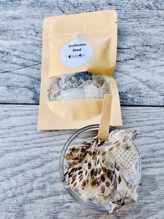 Snake Skin Shed | Natural Hermit Crab Food Treat Foraging Protein Enrichment Snakeskin