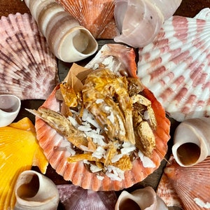 Coconut Shrimp (Complete Meal) | Hermit Crab Food