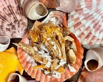 Coconut Shrimp | Hermit Crab Food | Protein Meal | Complete Diet | Natural Nutrition | Hermit Crab Supplies | Seafood Salad | CrabitatCafe