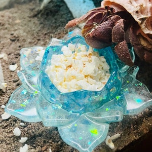 Snow White Pop | Hermit Crab Food Treat Snack Nutrition Favorite Coconut Popcorn Flavorful Tasty Healthy Foraging Healthy Fats Fruit