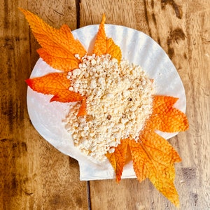 Pumpkin Pie Pop | Hermit Crab Food  - Seasonal Blend with Organic Pumpkin, Coconut & Popcorn | Nutritious Crab Food Treat