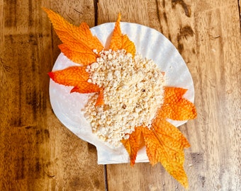 Pumpkin Pie Pop | Hermit Crab Food  - Seasonal Blend with Organic Pumpkin, Coconut & Popcorn | Nutritious Crab Food Treat