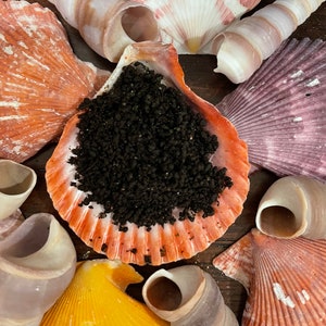 Organic Worm Castings | Hermit Crab Food