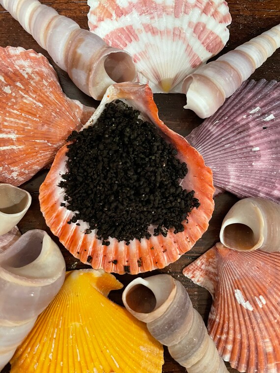 Organic Worm Castings | Hermit Crab Food