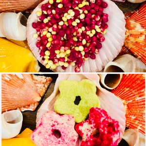 Dragon Duo | Hermit Crab Food