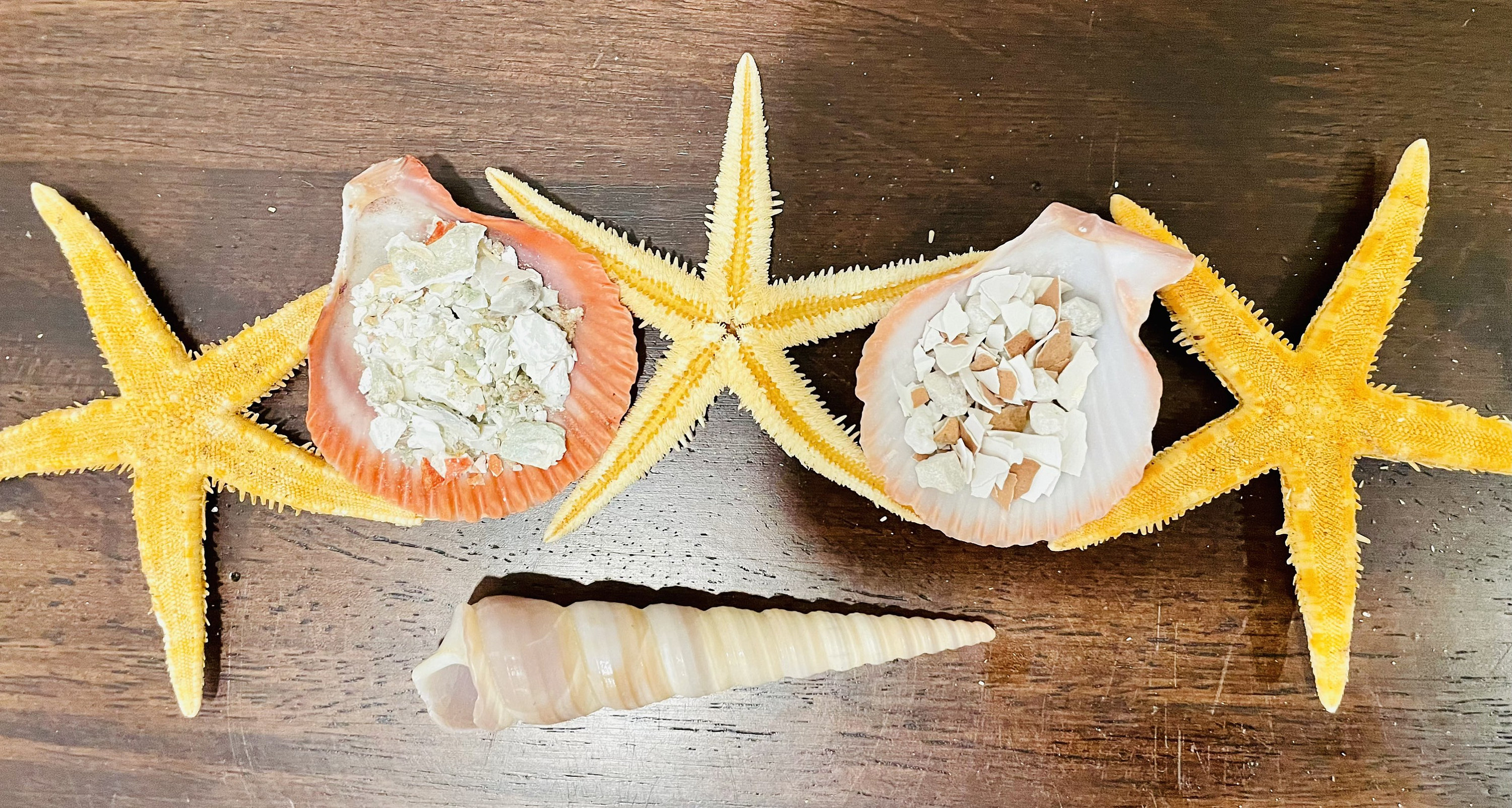 Calcium Combo Hermit Crab Food  Calcium Supplement - Etsy