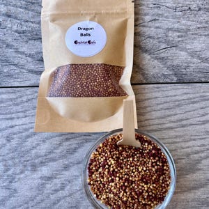 May include: A brown paper bag with a clear window, labeled "Dragon Balls" from "Crabbit Cafe", sits above a small glass bowl filled with small, reddish-brown and tan spheres. A wooden spoon rests in the bowl.
