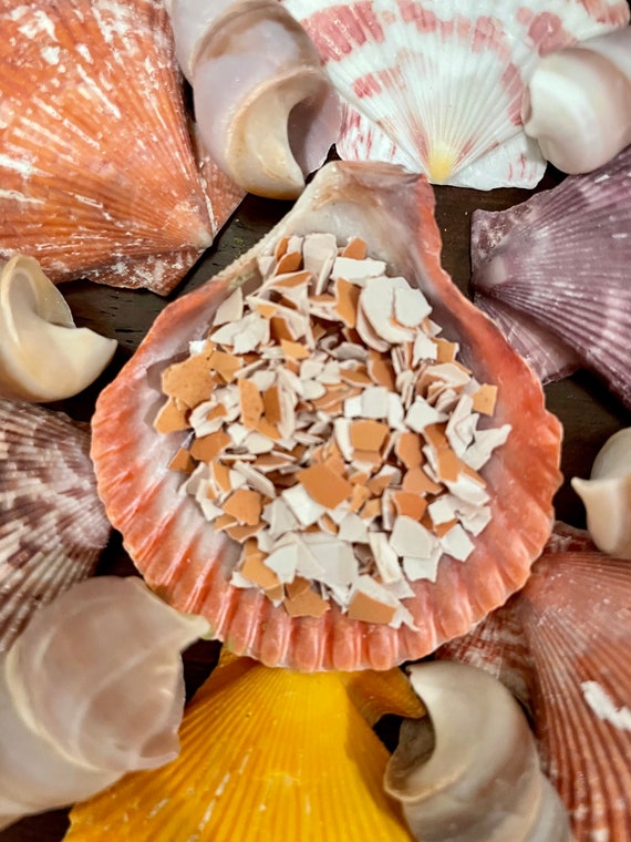 Can Chickens Eat Crab Shells? Unveiling the Nutritional fact