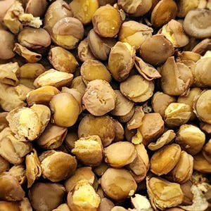 May include: Close-up shot of a pile of dried fava beans. The beans are a mix of tan, brown, and yellow hues, with some split open, revealing a yellow interior. The image is well-lit, highlighting the texture and details of the beans.