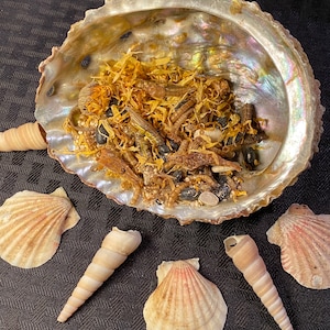 Creepy Crawlers | Hermit Crab Food