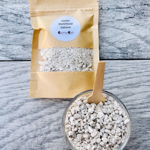 May include: A clear glass bowl and a kraft paper bag filled with small, off-white oyster shell and coral calcium. A small wooden scoop rests in the bowl. The bag has a label that reads "Oyster Shell/Coral Calcium" and "habitat cafe."