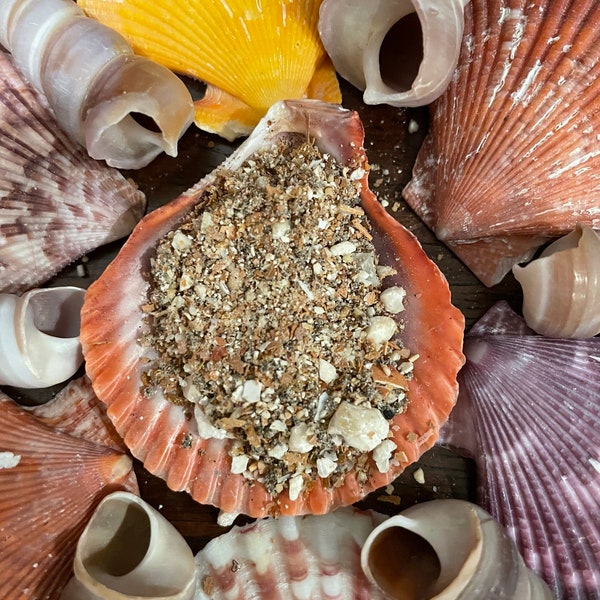 Healthy Hermie (formally “Heal My Hermie”) (Complete Meal) | Hermit Crab Food