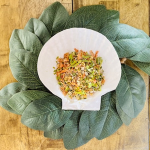 Vegetable Soup | Hermit Crab Food