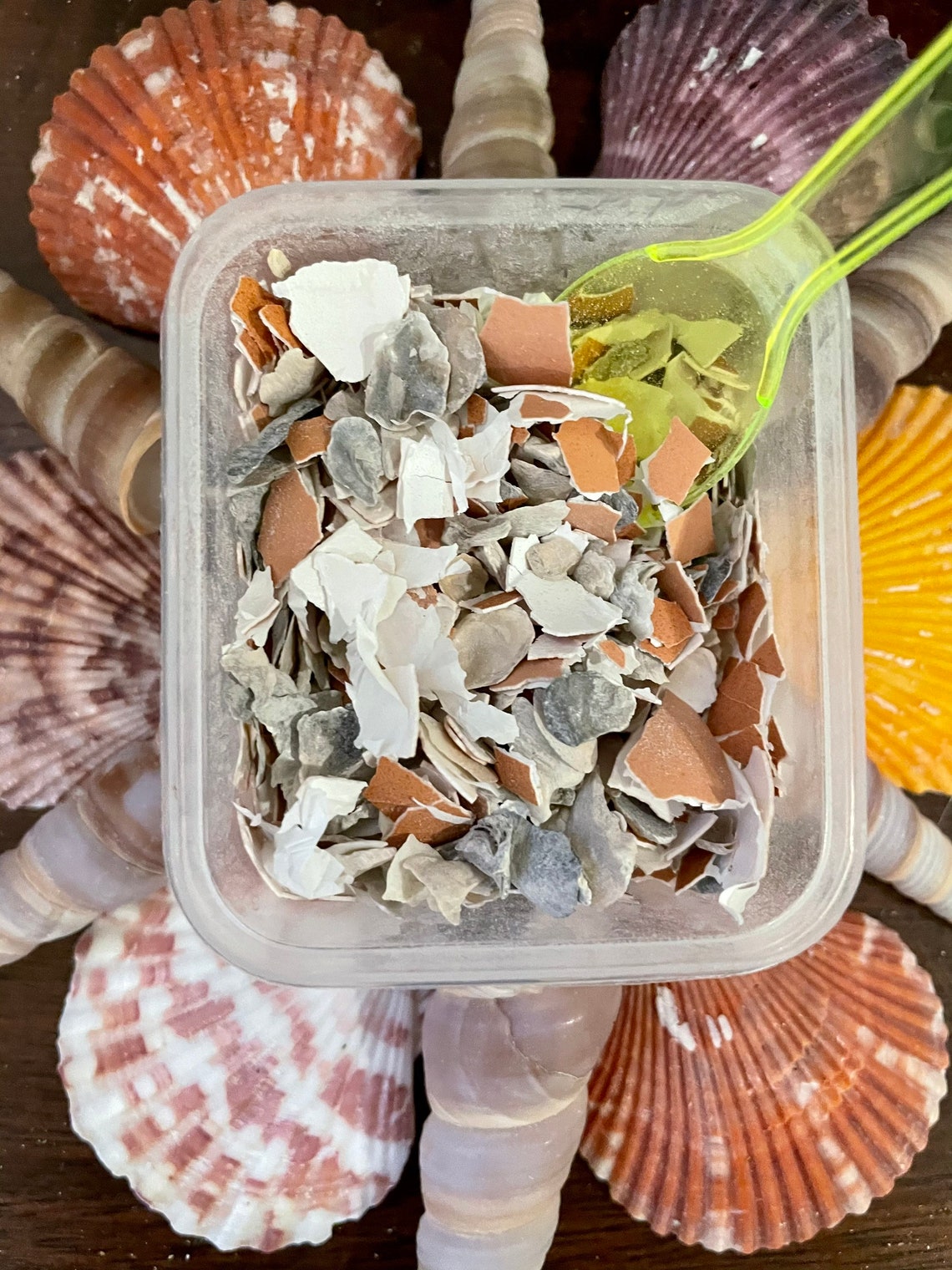 Calcium Crunch | Hermit Crab Food / Supplement Essential for ... - Vitamin Supplements Hermit Crabs