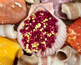 Dragon Balls | Hermit Crab Food