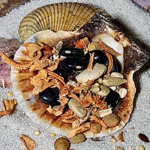 Trick-or-Treat Mystery Meal | Hermit Crab Food