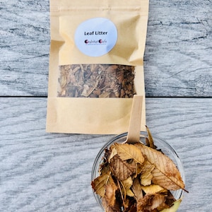 May include: A clear glass bowl and a small wooden scoop filled with dried brown and yellow leaves. A kraft paper bag with a clear window and a blue label that reads "Leaf Litter" is behind the bowl. The label also says "habitat cafe".