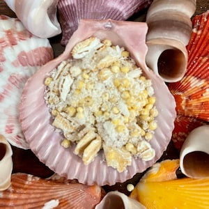 Cottontail Crunch | Hermit Crab Food