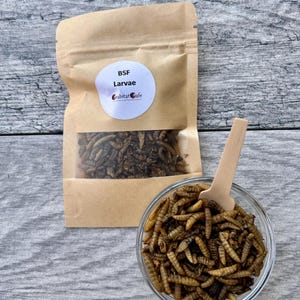 May include: A clear glass bowl and a brown paper bag filled with BSF larvae. The bag has a clear window and a white label with the text "BSF Larvae" and "habitat cafe". A wooden spoon rests in the bowl of larvae.