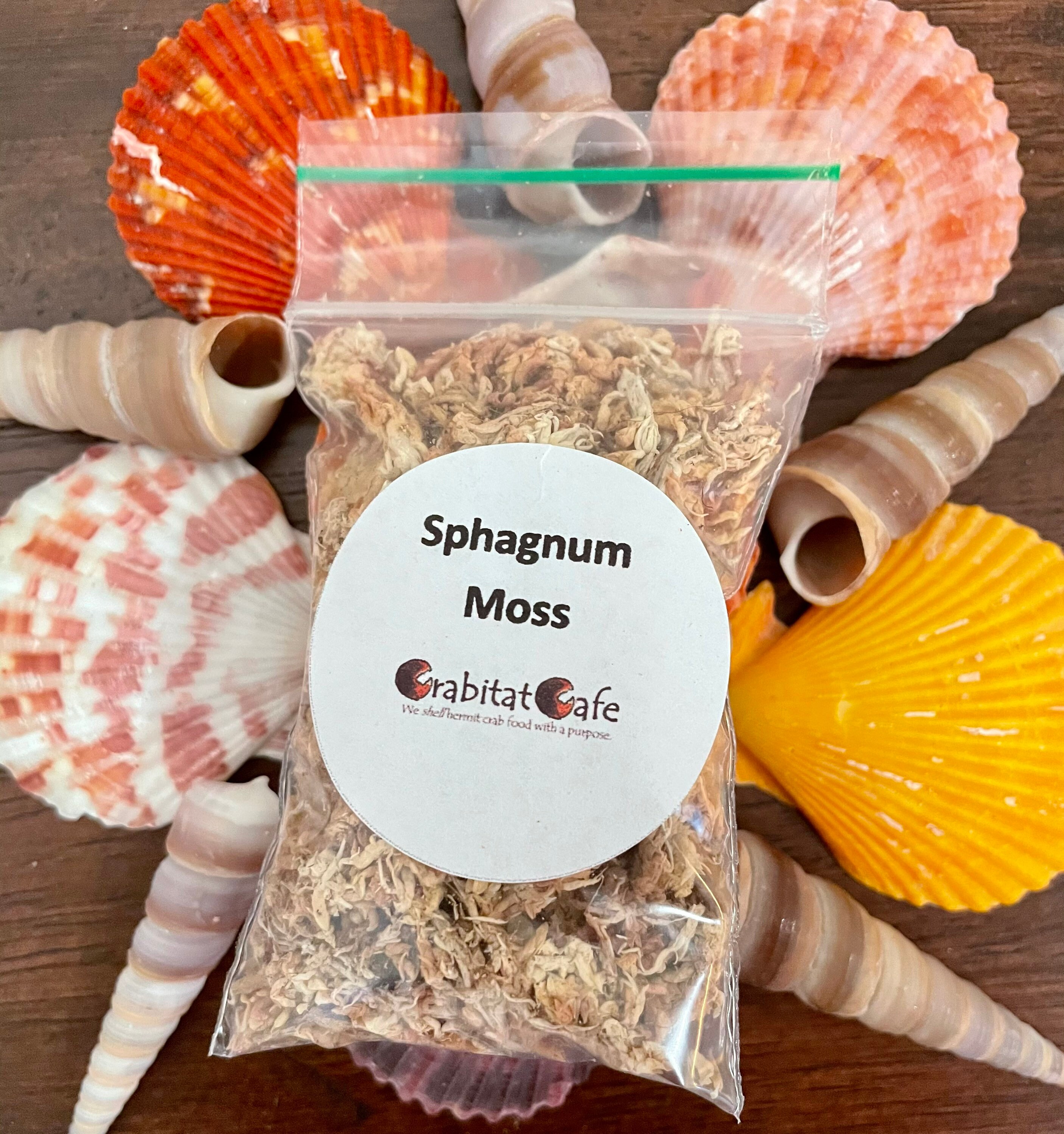 Sphagnum Moss Hermit Crab Food/humidity/moss Pit Etsy Singapore
