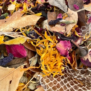 Foraging Favorites | Hermit Crab Food Leaf Litter Forage Mix