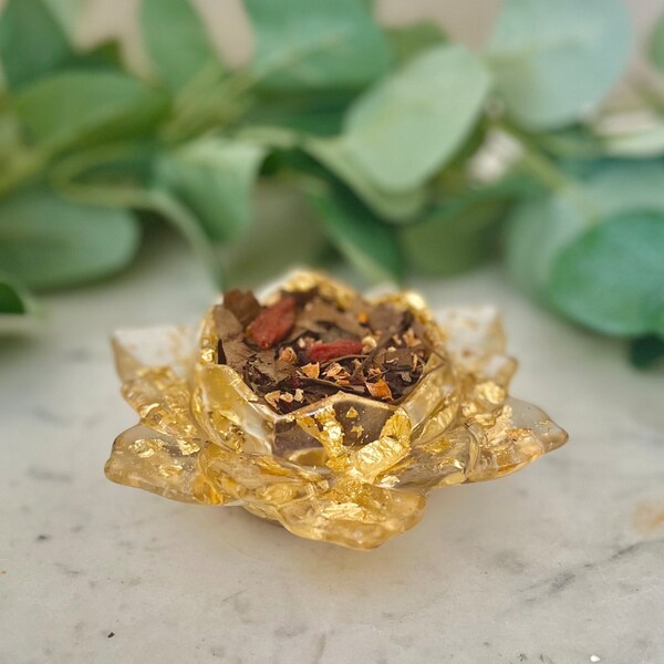 Reptile Food Bowl Etsy