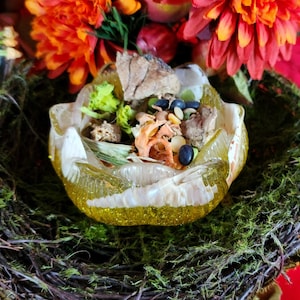 Gebraden beestdiner voor heremietkreeften – Feestmaal met runderlong, groenten en eiwitten! | Feestelijke traktatie met krab