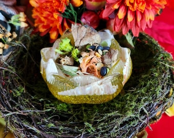Roast Beast Dinner for Hermit Crabs – Holiday Feast with Beef Lung, Veggies & Protein! | Festive Crab Food Treat