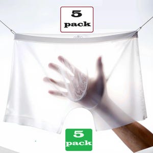 5pack Korean Cool briefs Ice Silk Panties