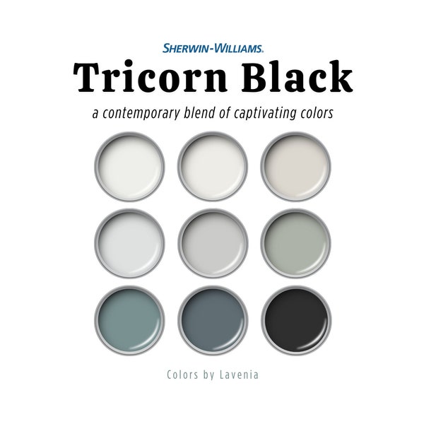 Tricorn Black Sherwin Williams palette, black paint color for whole house with white, gray, green and blue, front door, interior, cabinet