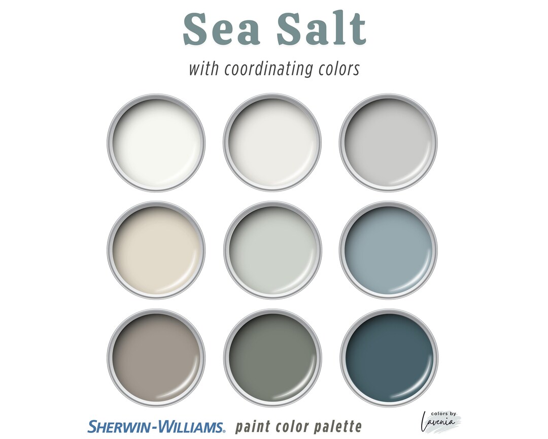 Sea Salt Sherwin Williams Paint Color Palette Coastal - Etsy