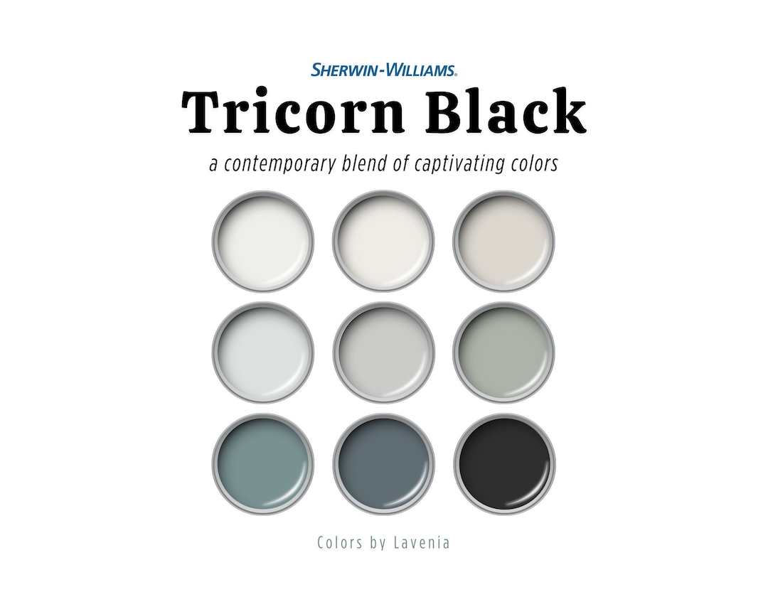 Tricorn Black Sherwin Williams Palette, Black Paint Color for Whole ...
