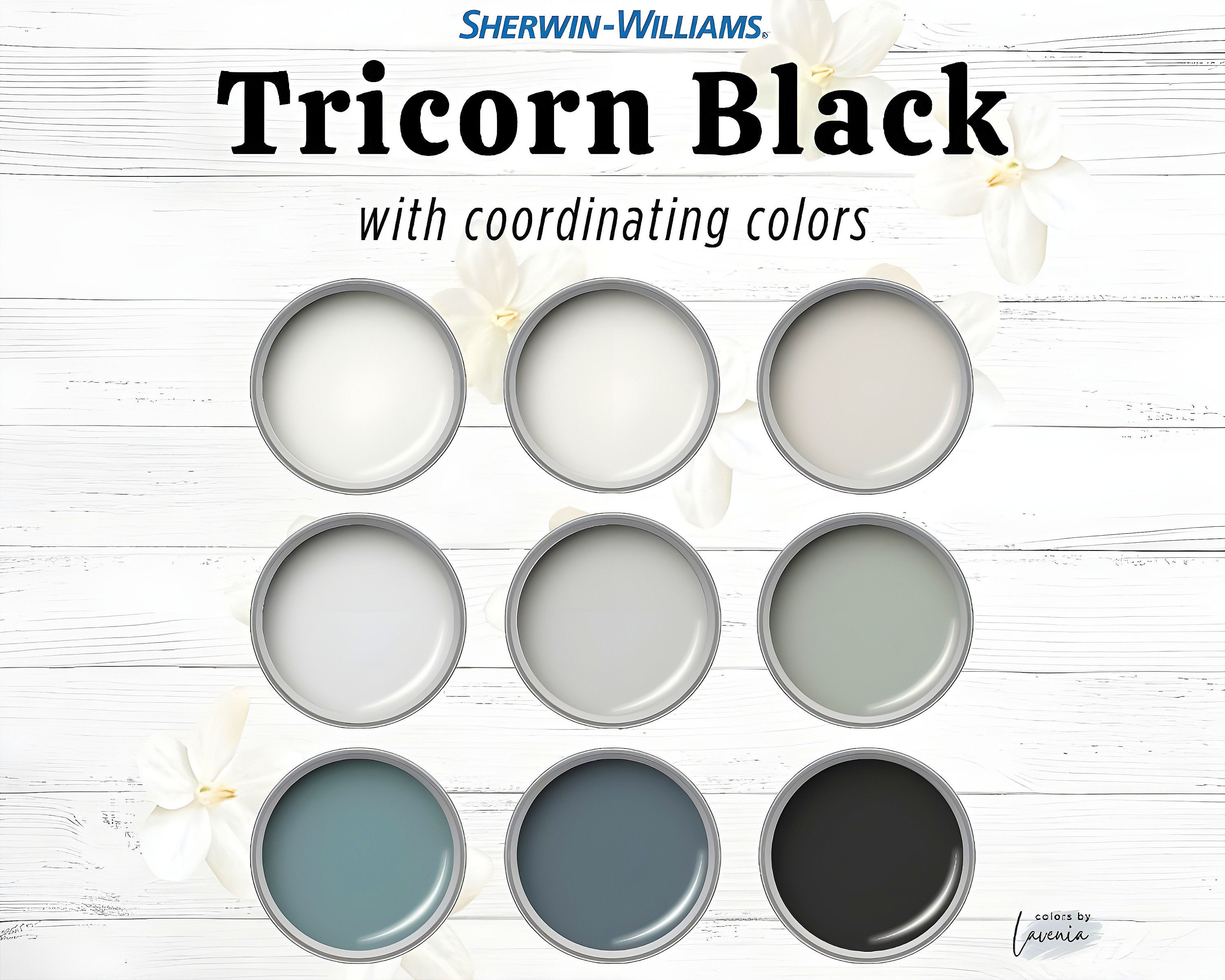 Tricorn Black Sherwin Williams Palette, Black Paint Color for Whole ...