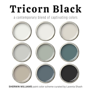 Tricorn Black Sherwin Williams Paint Palette: Whole House Interior Color Scheme - White, Gray, Green and Blue Coordinating Colors For Home.