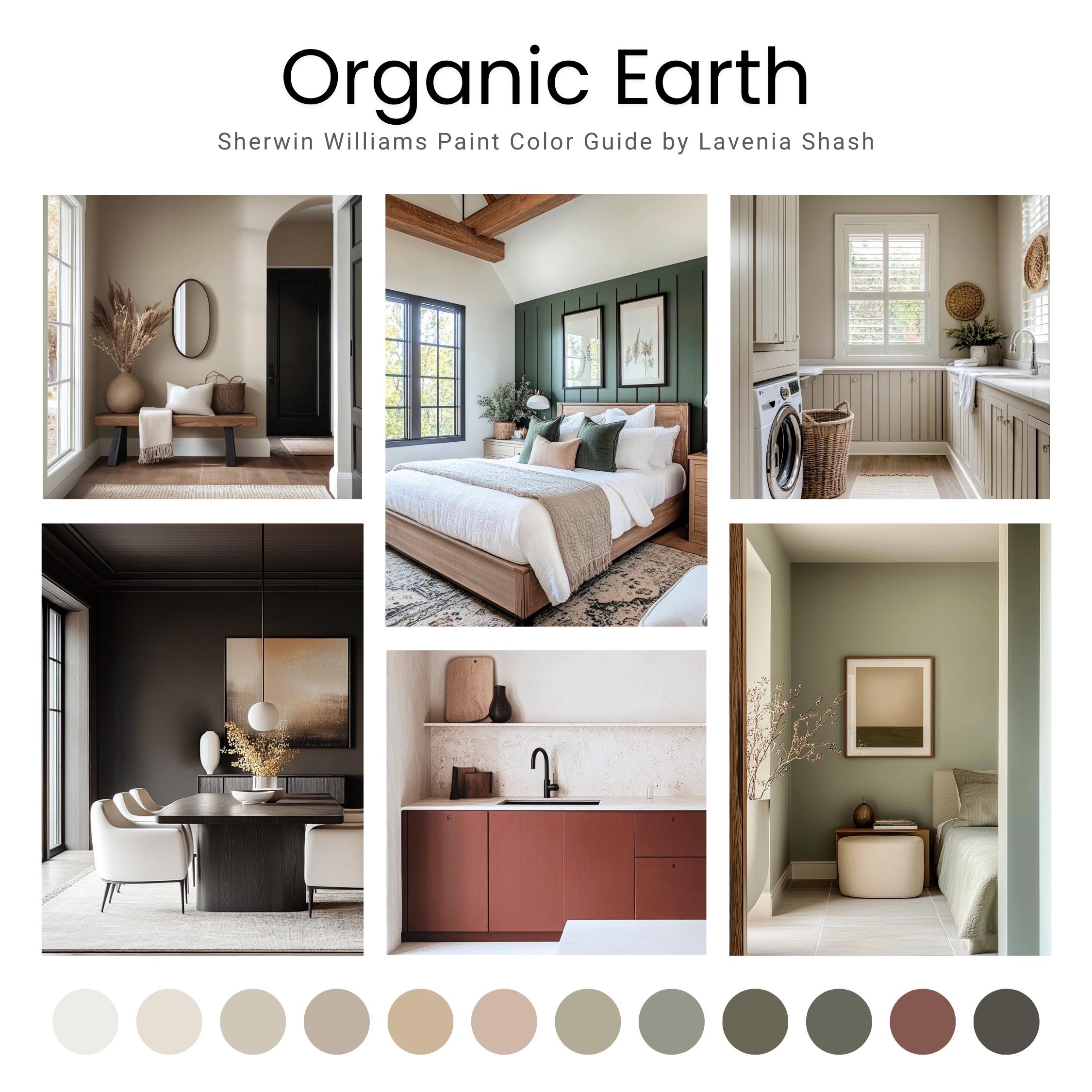 Organic Earth Color Palette: Sherwin Williams House Interior Paint ...